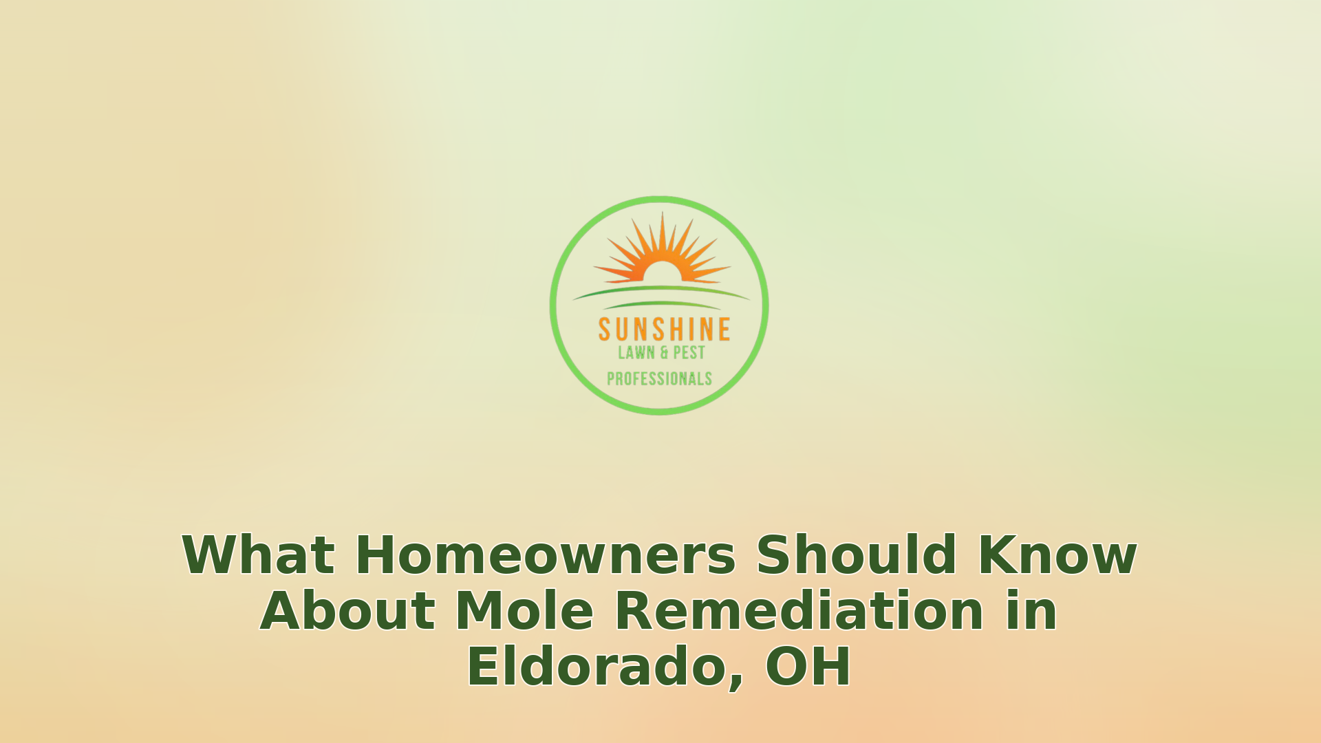 011 what homeowners should know about mole remediation in eldorado oh